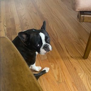 Meet your Posher, Melissa